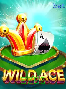 Descubra o Empolgante Mundo de WildAce